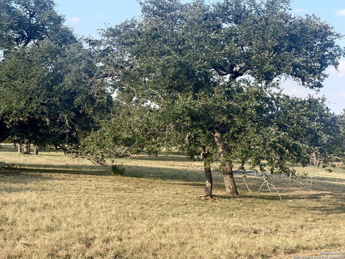 5.47 acres in Blanco County - photo 7
