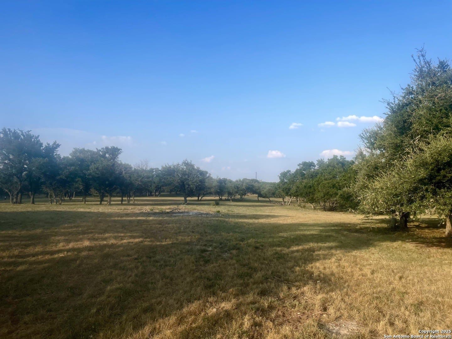 5.47 acres in Blanco County gallery image 3