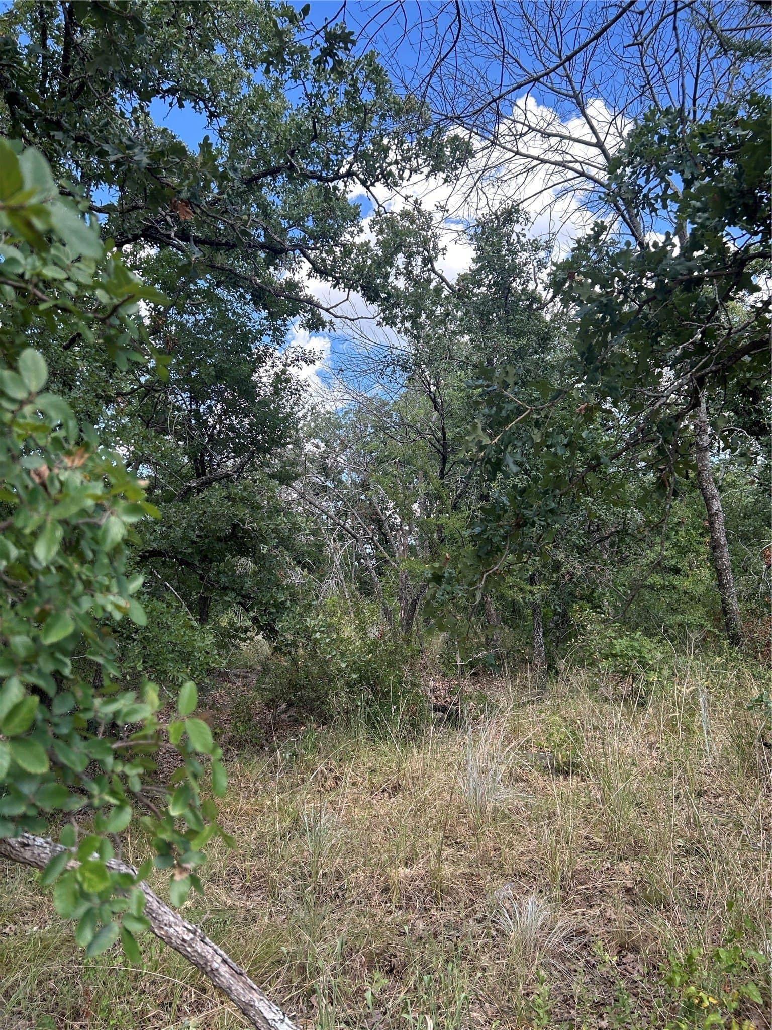 0.26 acres in Wise County - photo 2
