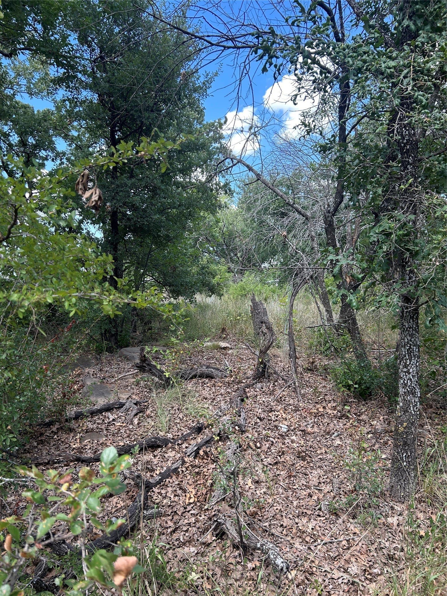 0.26 acres in Wise County