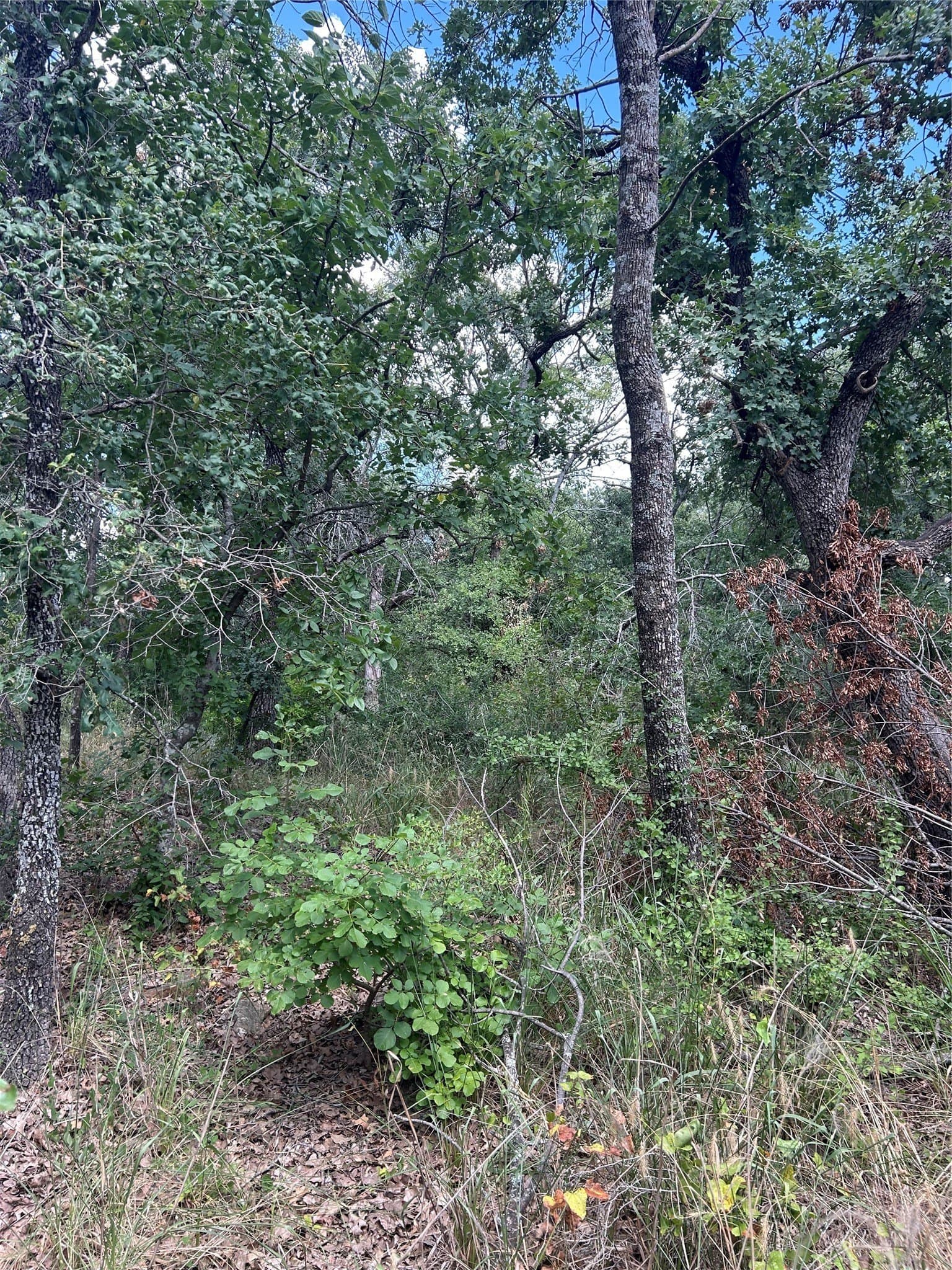 0.26 acres in Wise County - photo 3