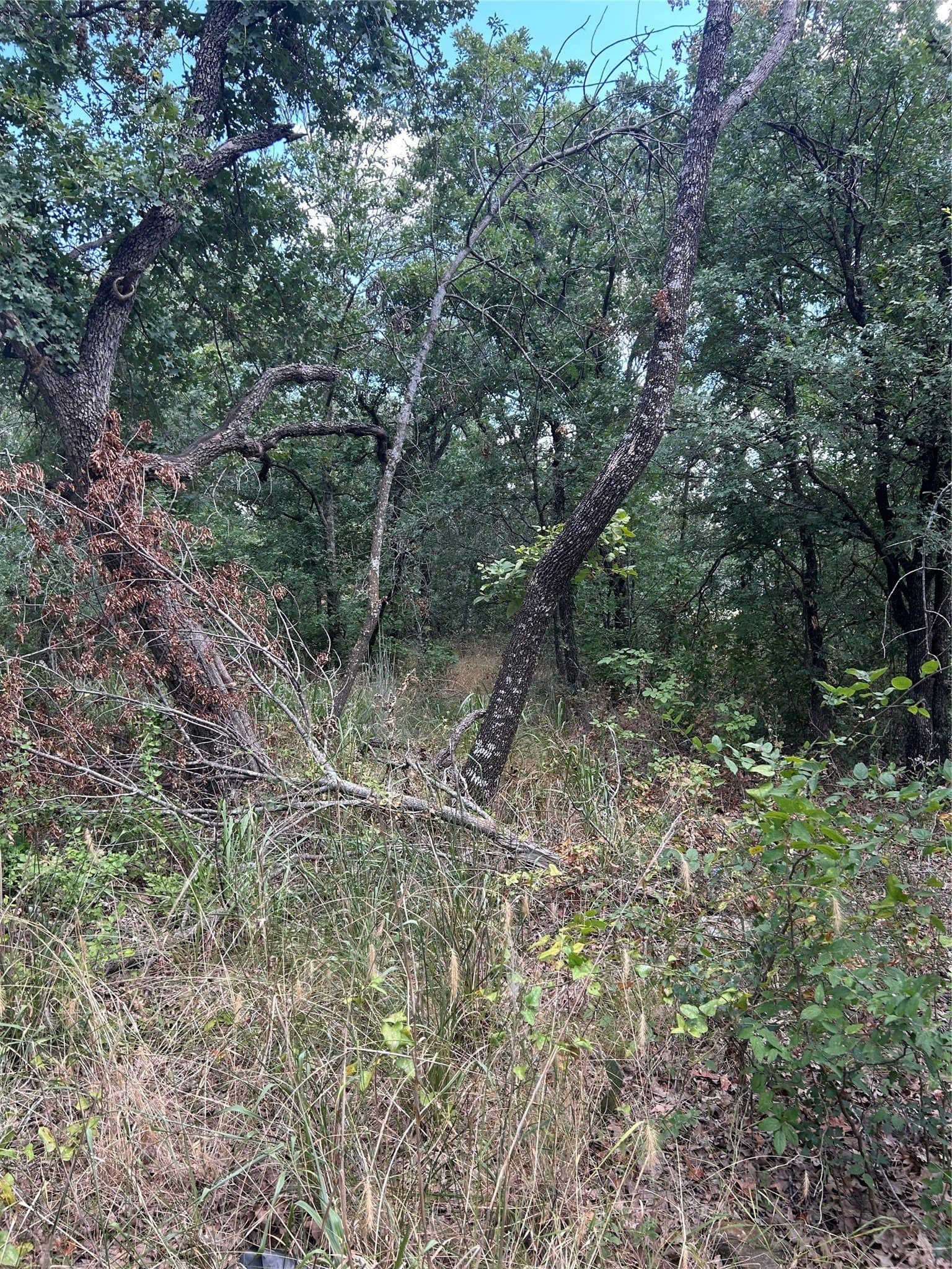 0.26 acres in Wise County - photo 4