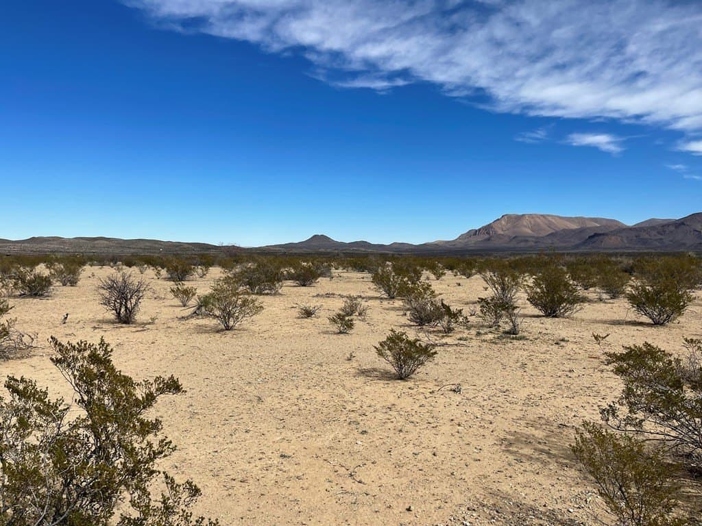 10 acres in Brewster County - photo 4