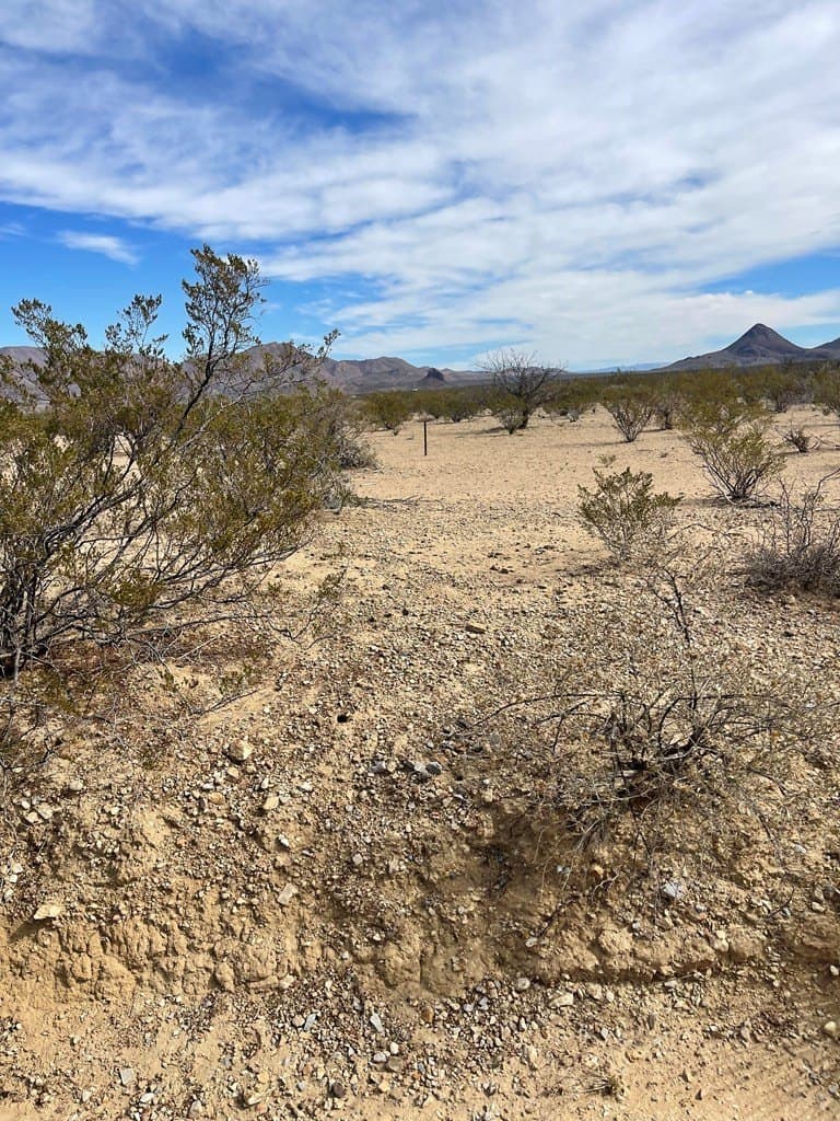 10 acres in Brewster County - photo 12