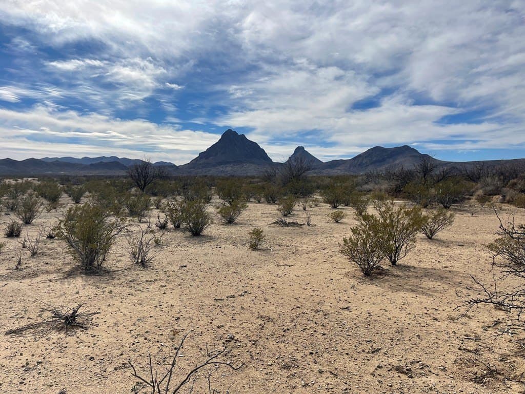 10 acres in Brewster County - photo 3