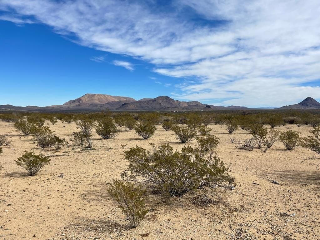 10 acres in Brewster County