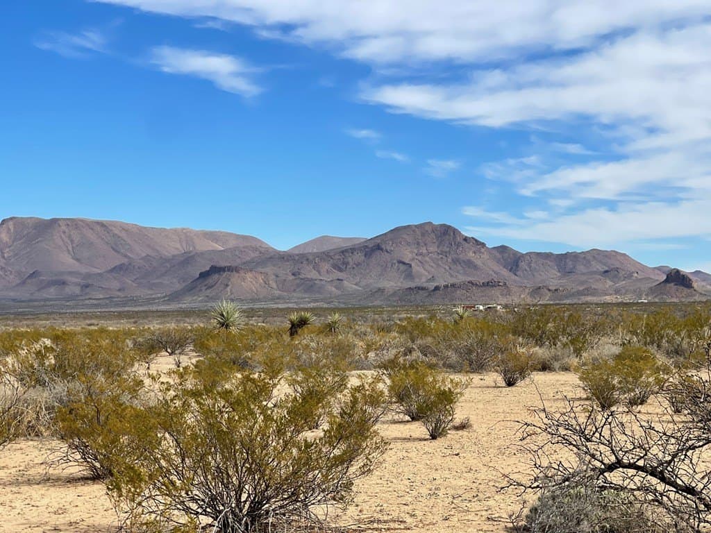 10 acres in Brewster County - photo 5
