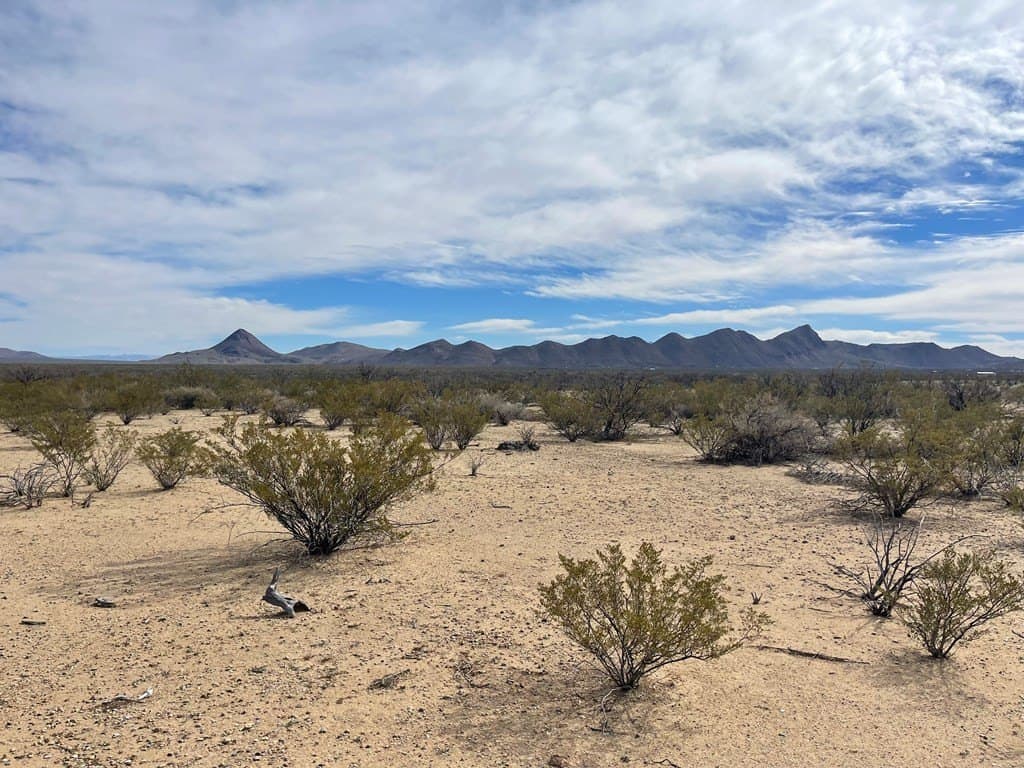 10 acres in Brewster County - photo 2