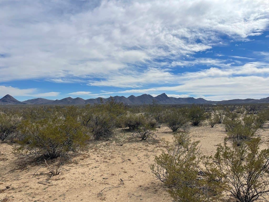 10 acres in Brewster County - photo 10