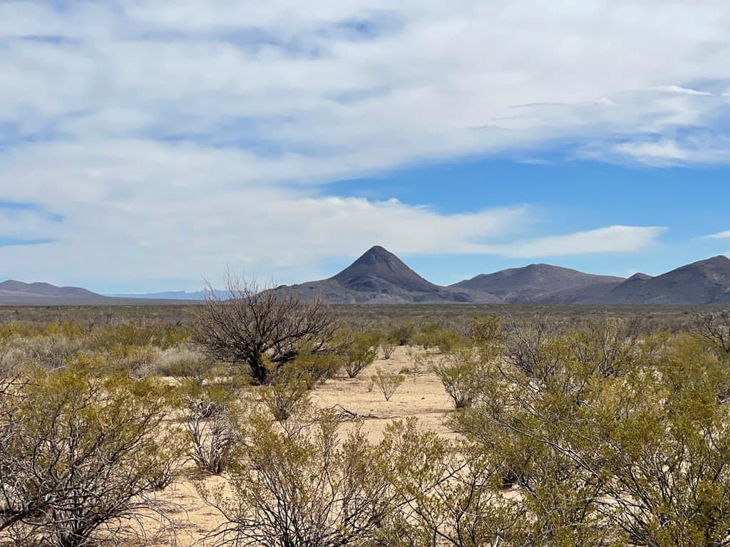 10 acres in Brewster County - photo 6