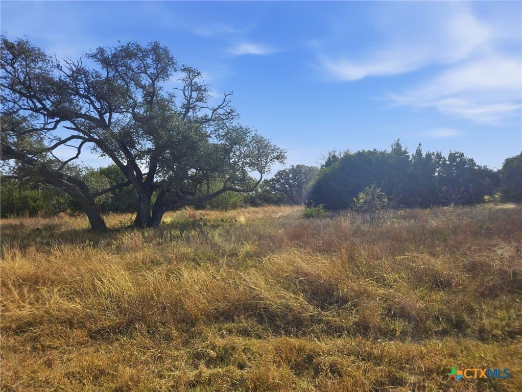 20.02 acres in Hamilton County - photo 5