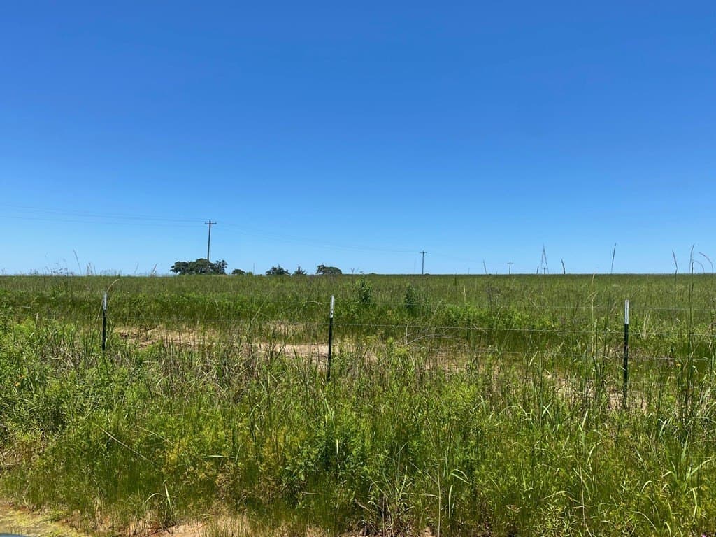 10.01 acres in Texas County - photo 12