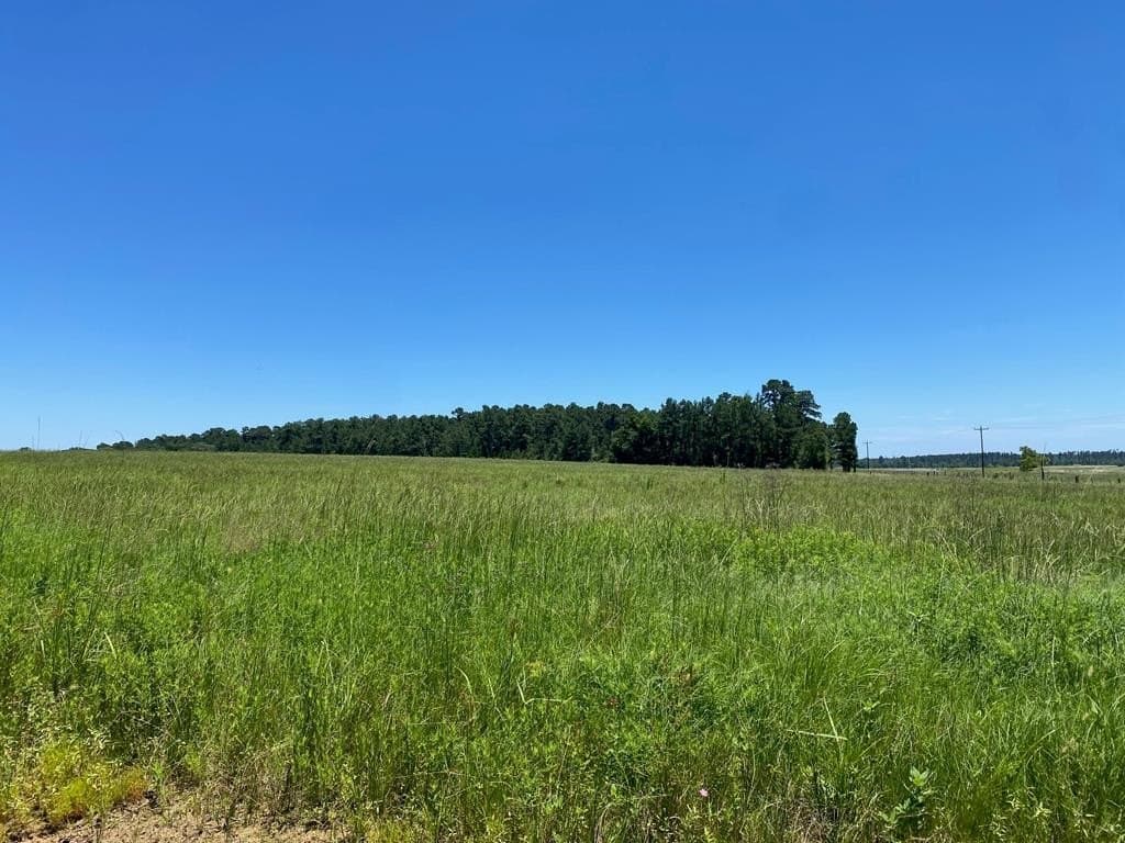 10.01 acres in Texas County