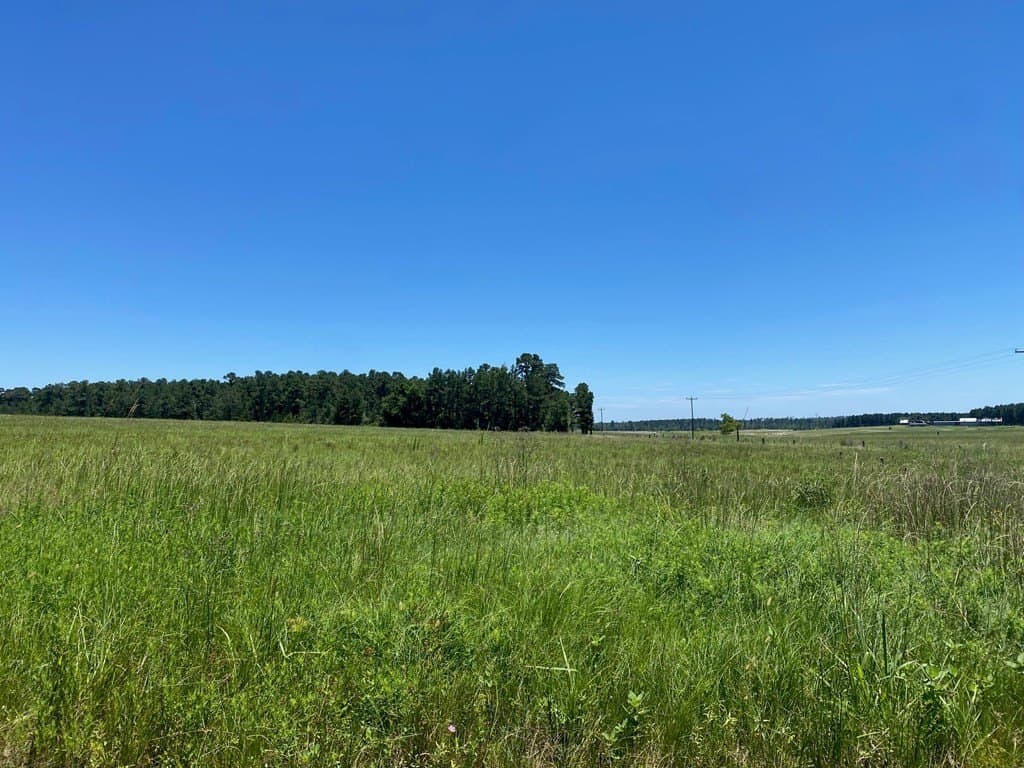 10.01 acres in Texas County - photo 13