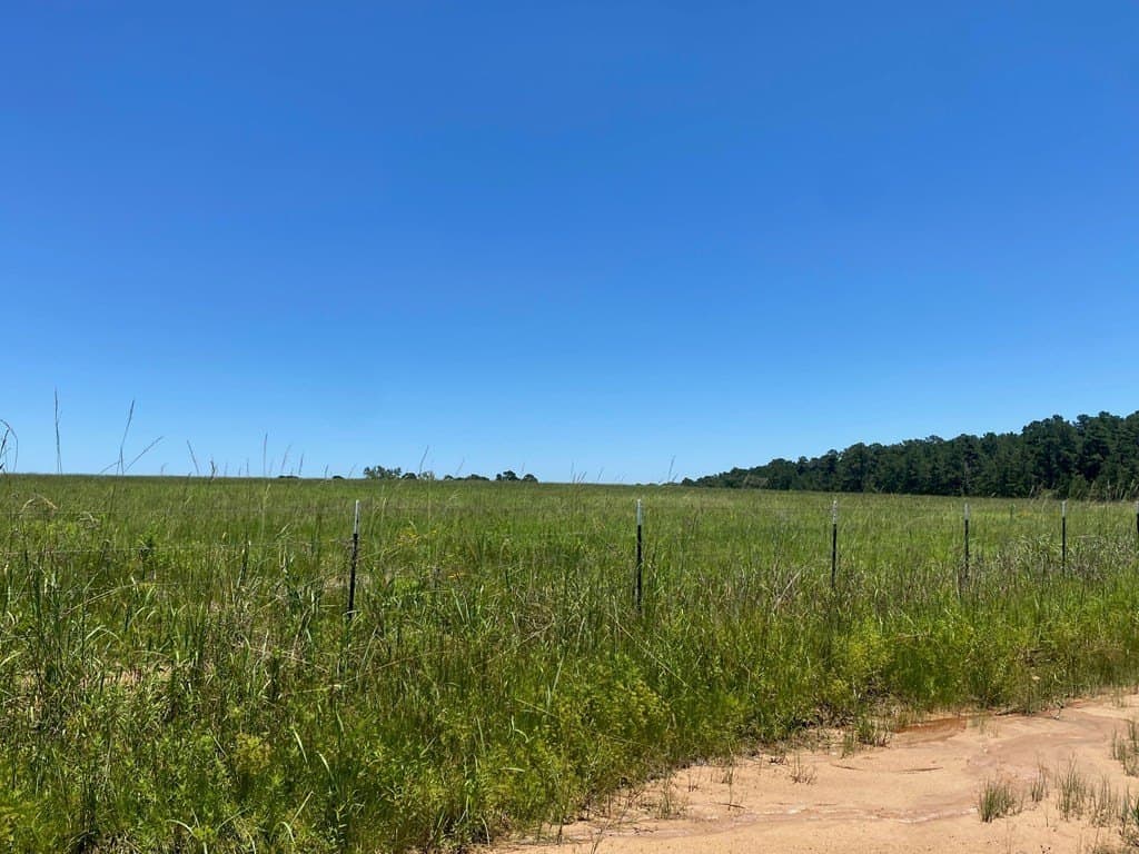 10.01 acres in Texas County - photo 11