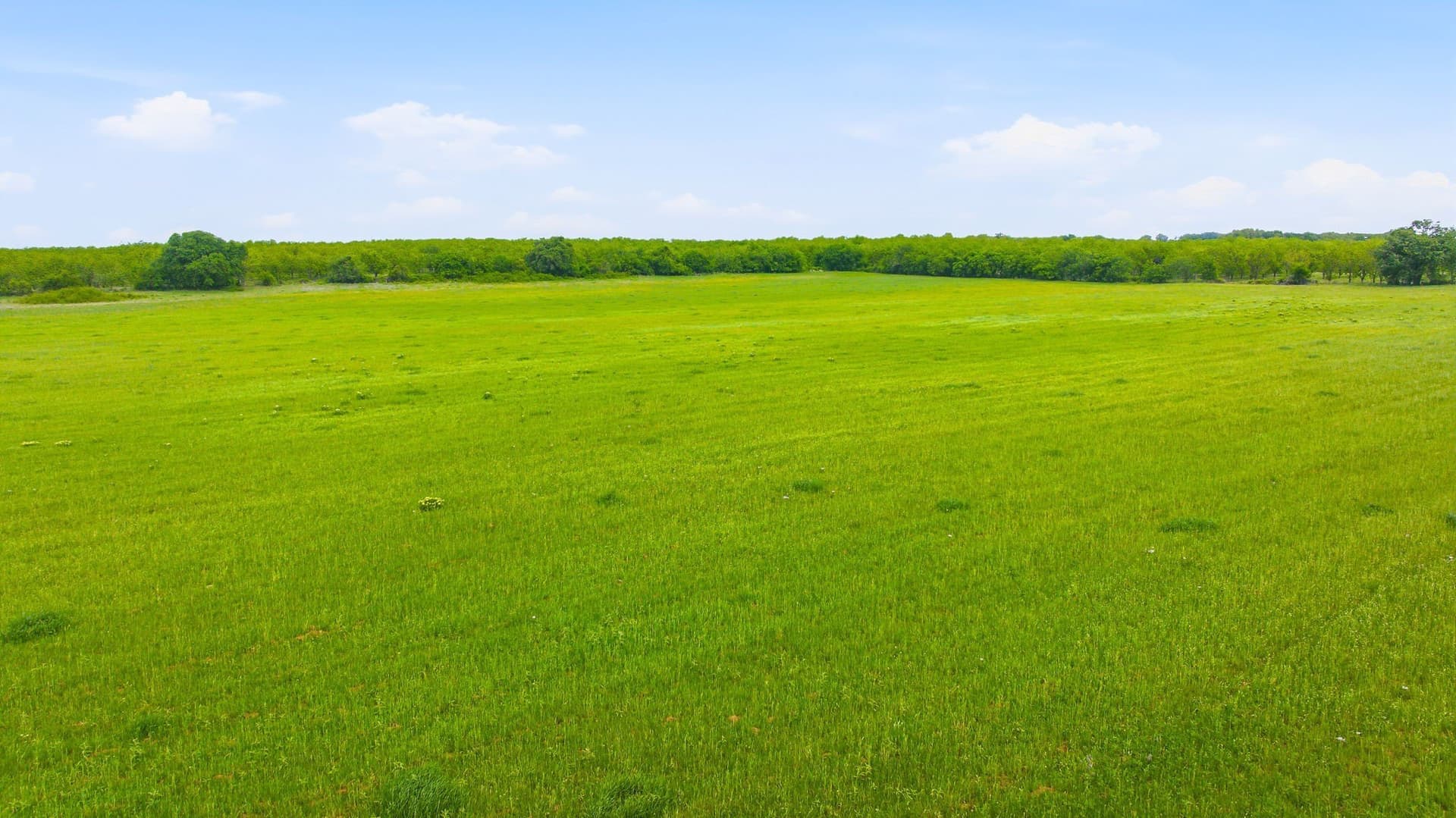 66.76 acres in Comanche County - photo 36