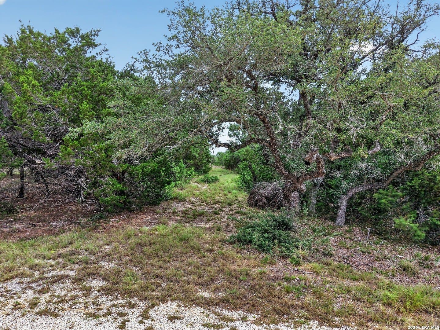 4.79 acres in Hays County - photo 15