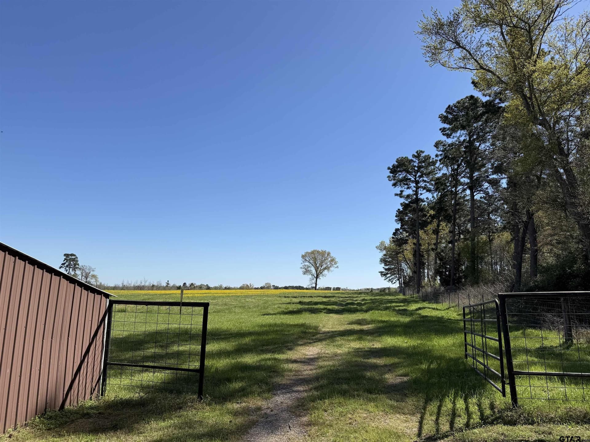 20 acres in Cherokee County - photo 4