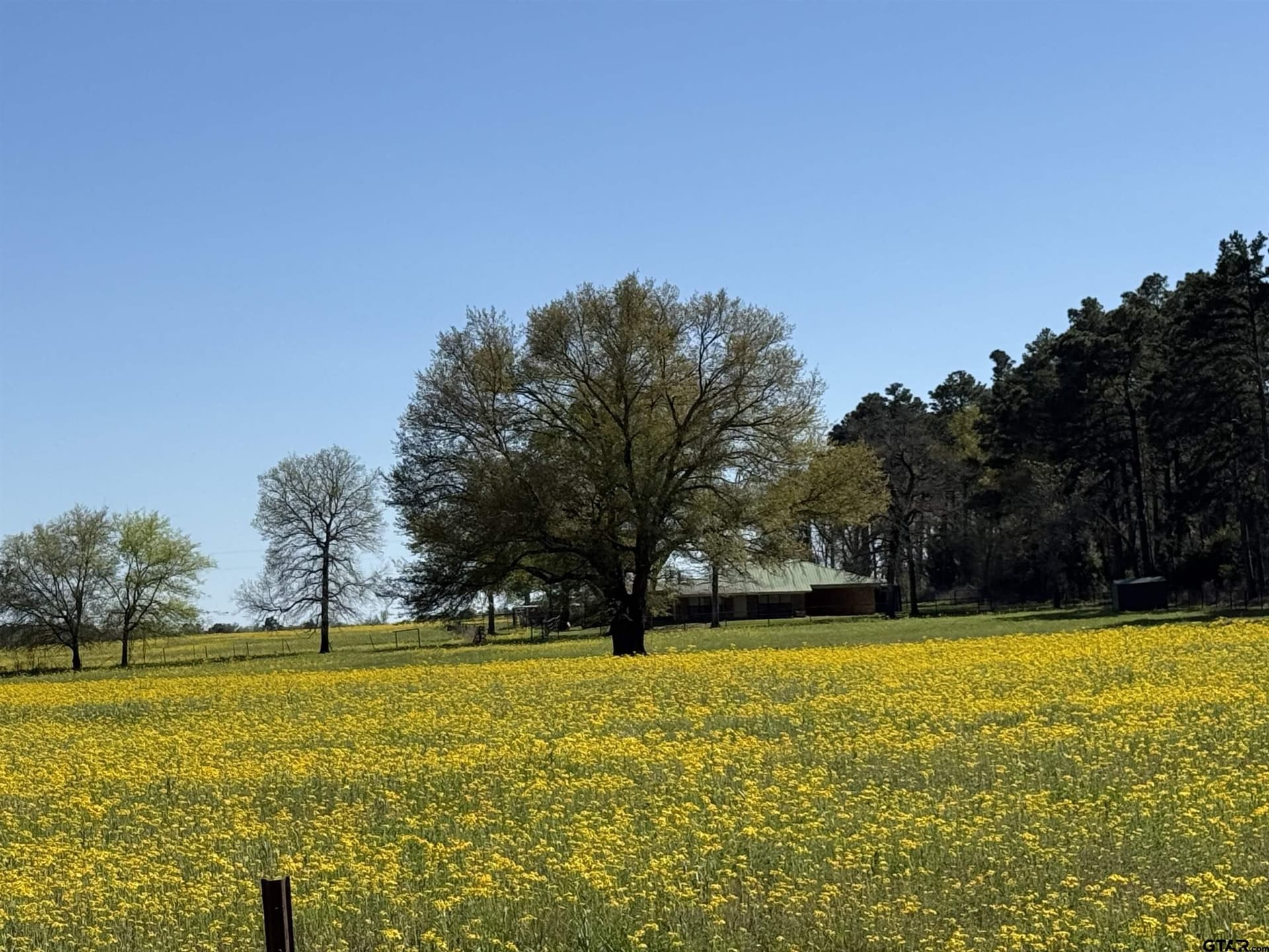 20 acres in Cherokee County - photo 3
