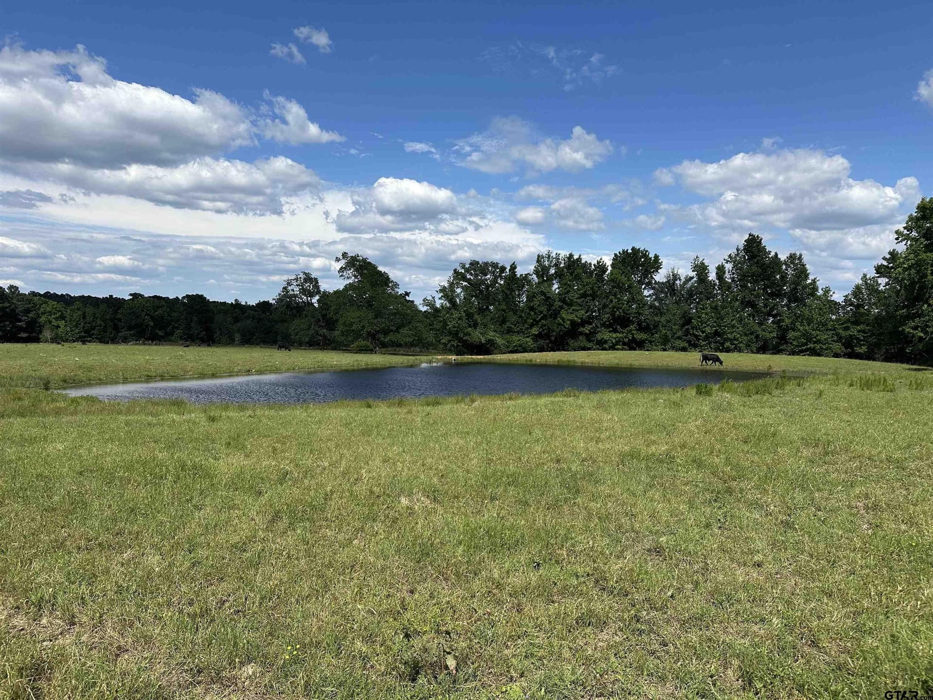 20 acres in Cherokee County - photo 7