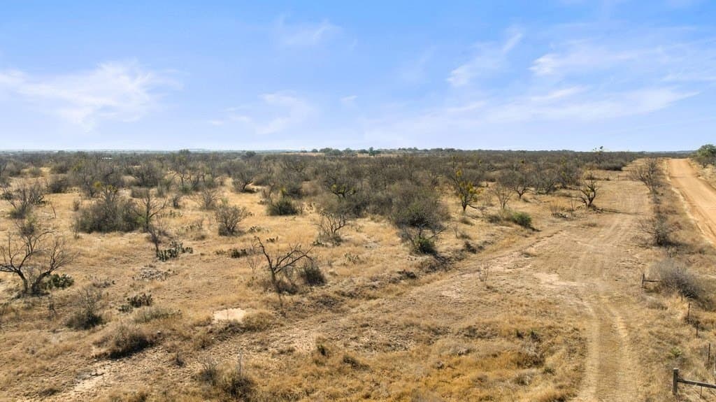 59.25 acres in Llano County - photo 9