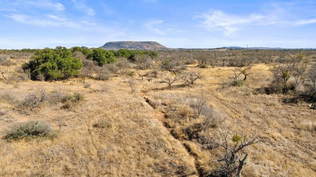 59.25 acres in Llano County - photo 59