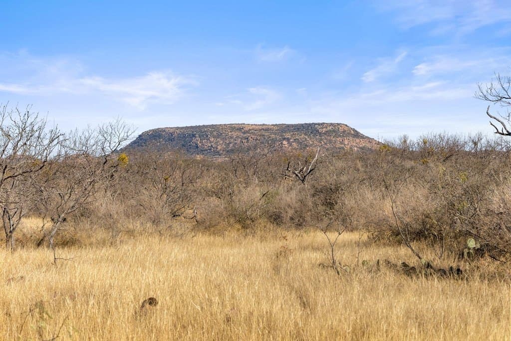 59.25 acres in Llano County - photo 99