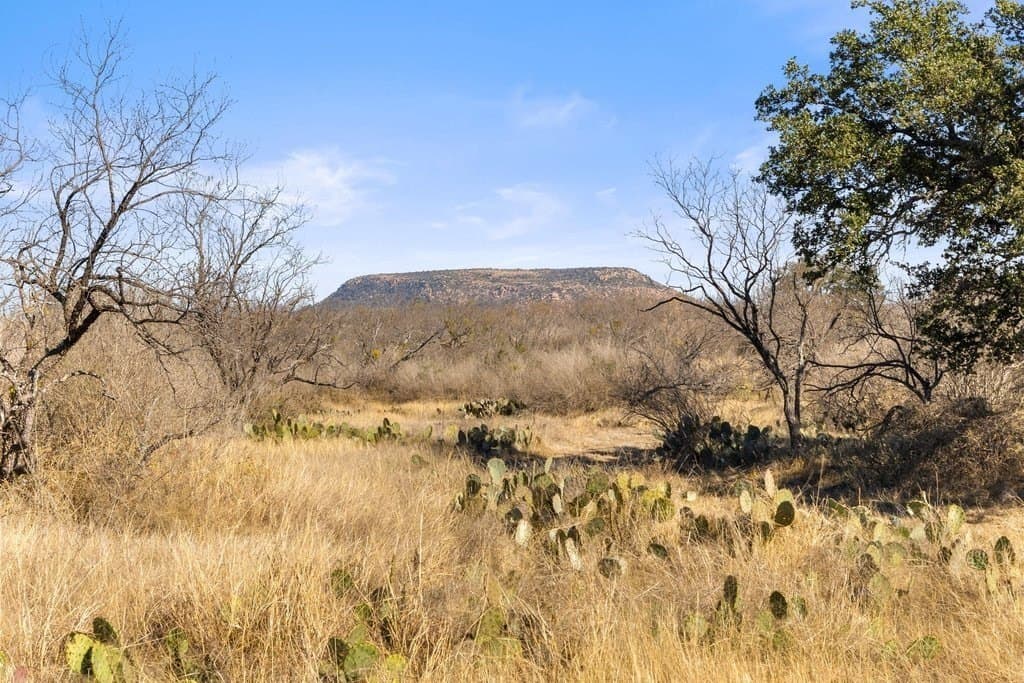 59.25 acres in Llano County - photo 98