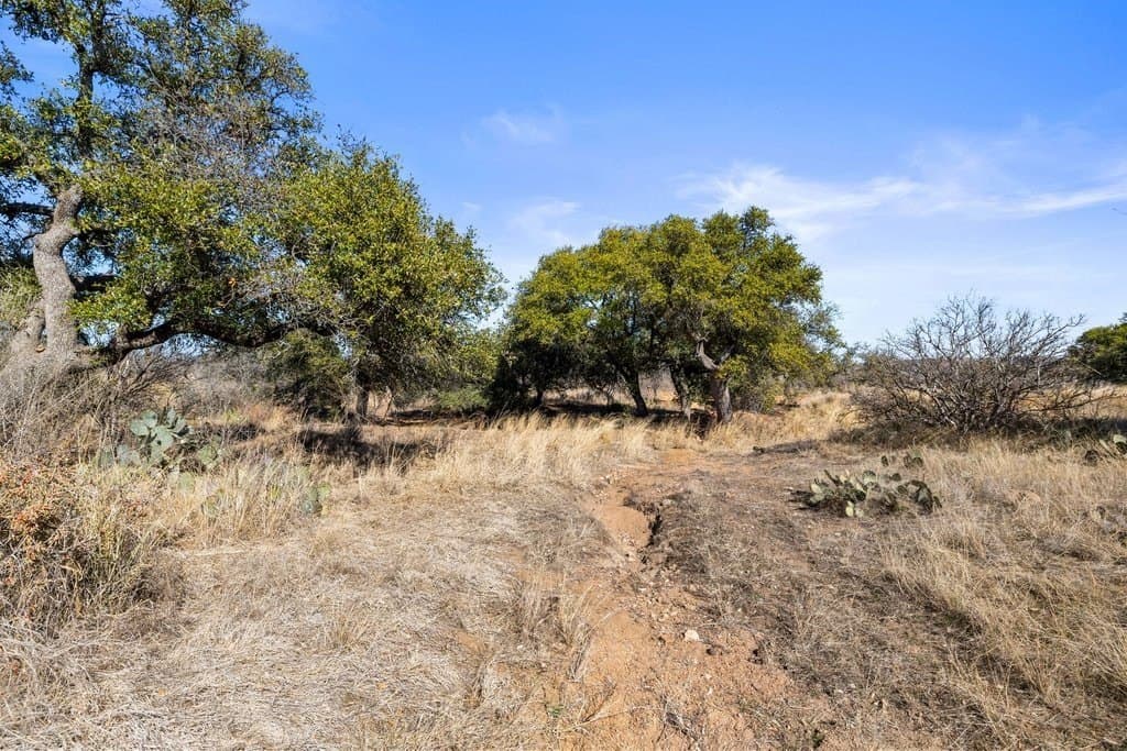 59.25 acres in Llano County - photo 90