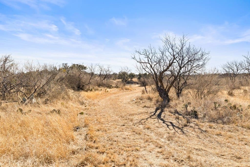 59.25 acres in Llano County - photo 73