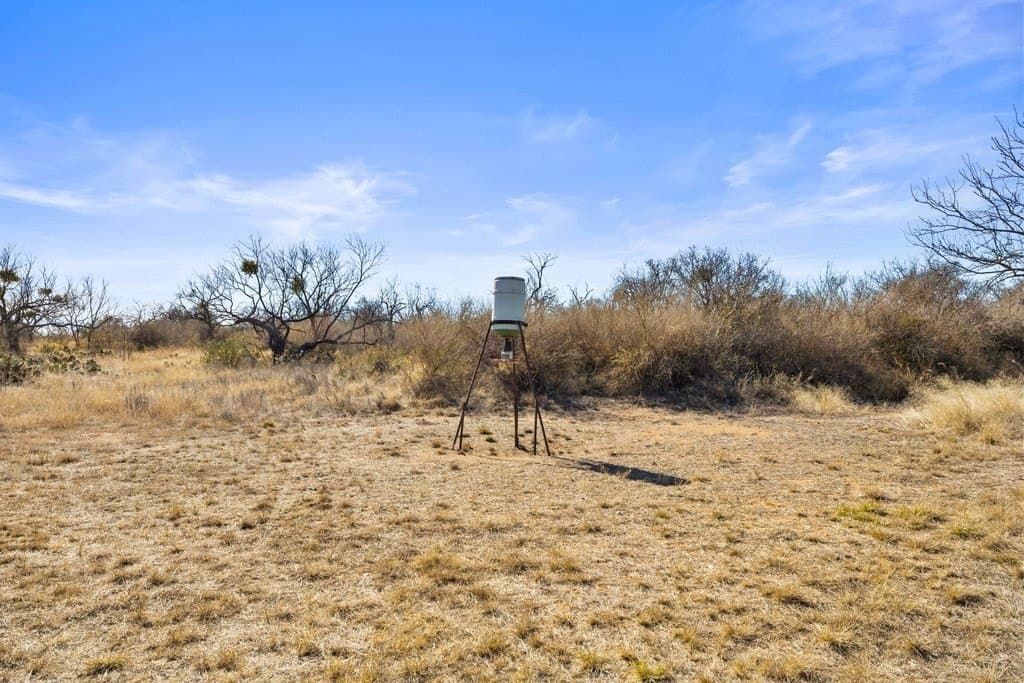 59.25 acres in Llano County - photo 81