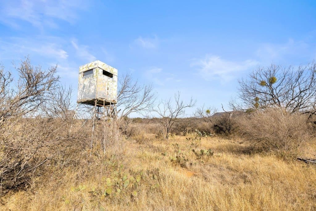 59.25 acres in Llano County - photo 95