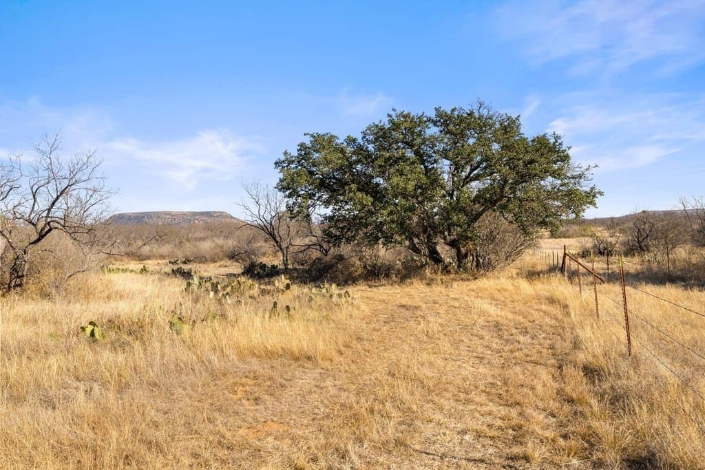 59.25 acres in Llano County - photo 97