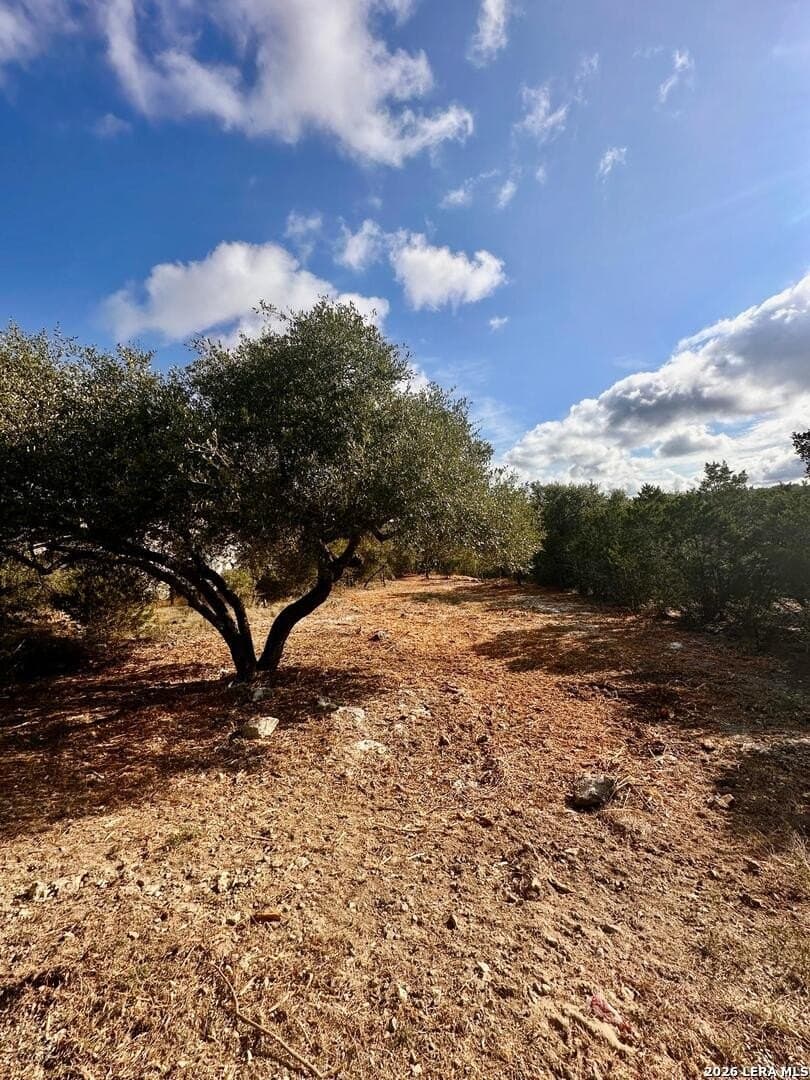 1.41 acres in Comal County - photo 10