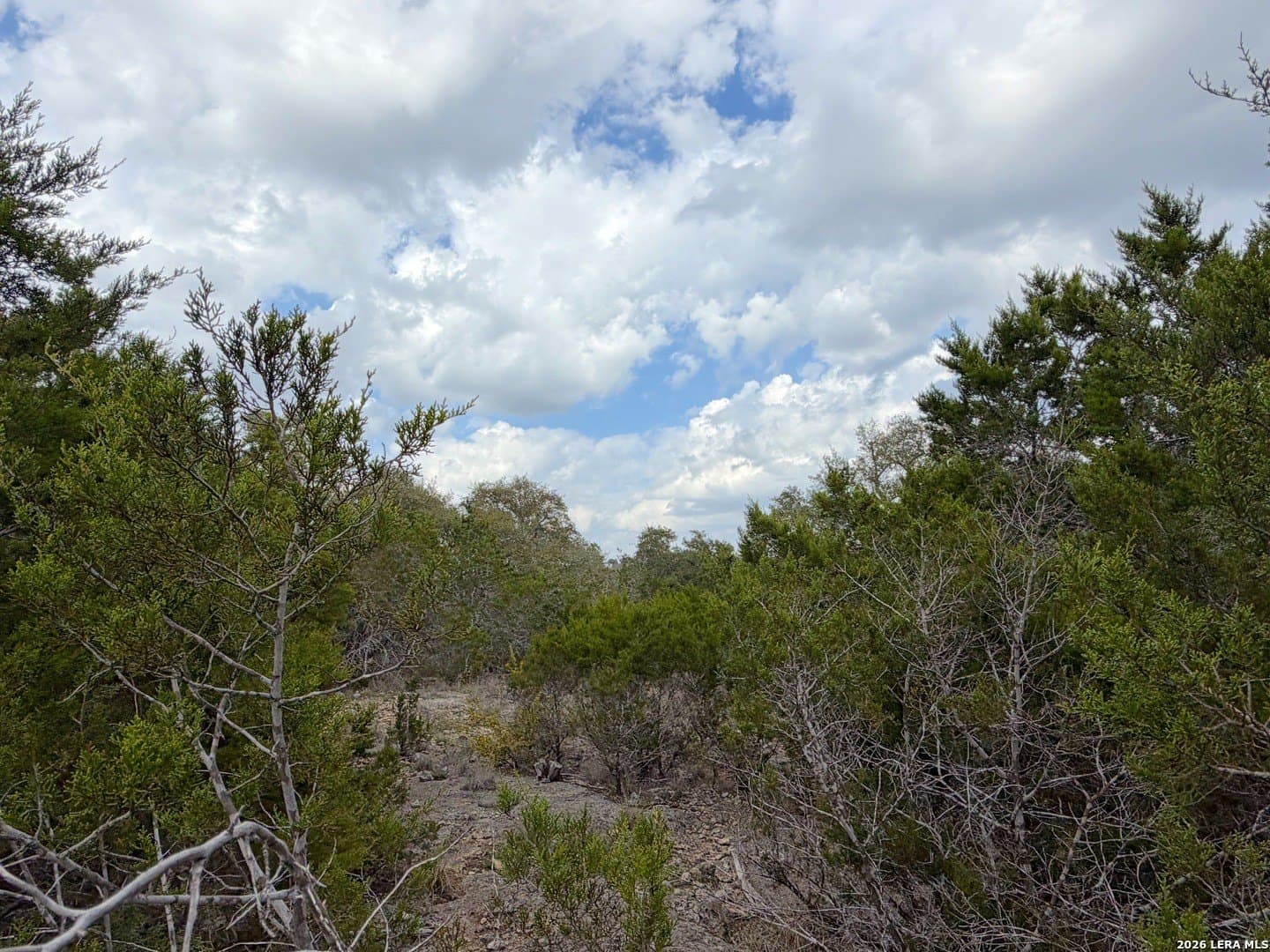 1.41 acres in Comal County - photo 16