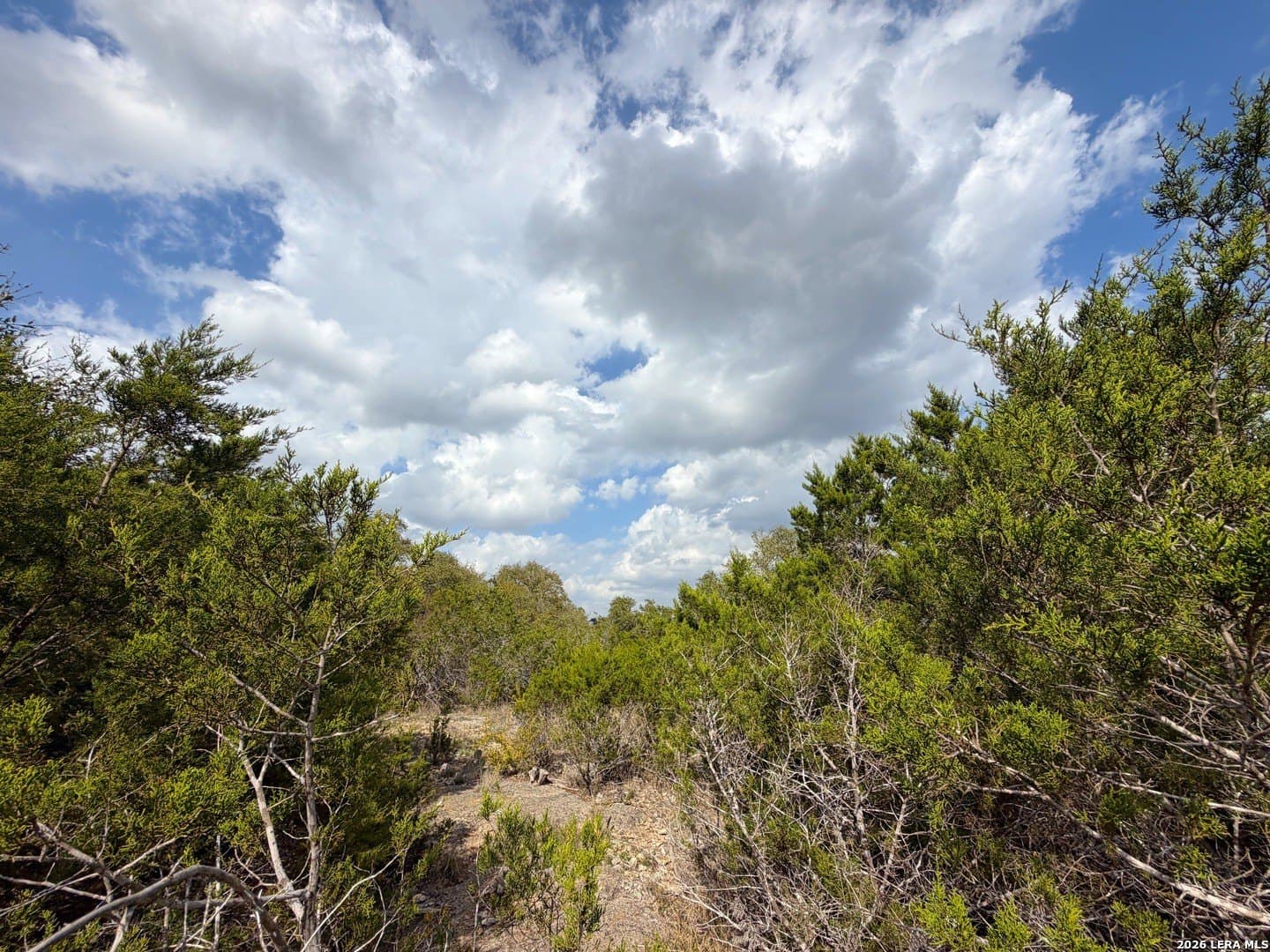 1.41 acres in Comal County - photo 7