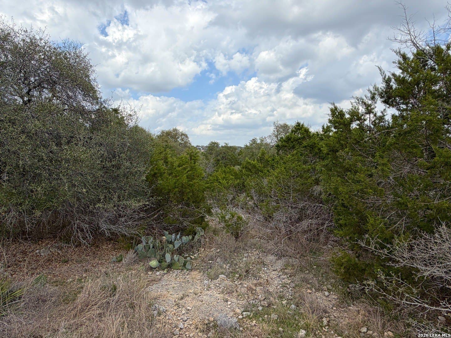 1.41 acres in Comal County - photo 15