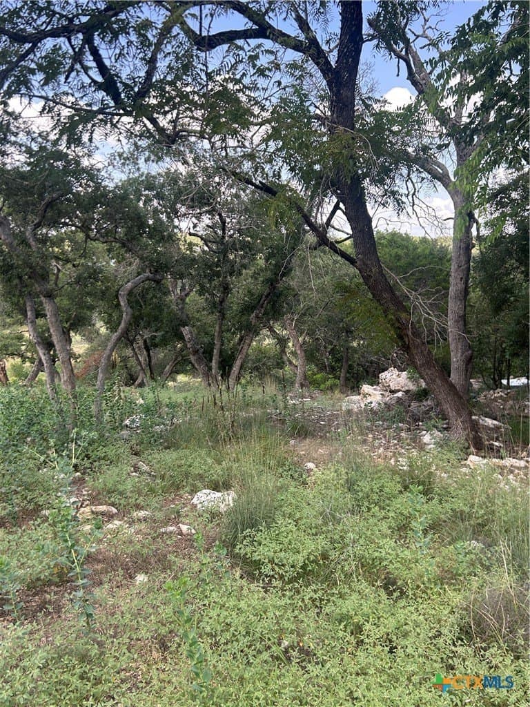 0.72 acres in Comal County featured view