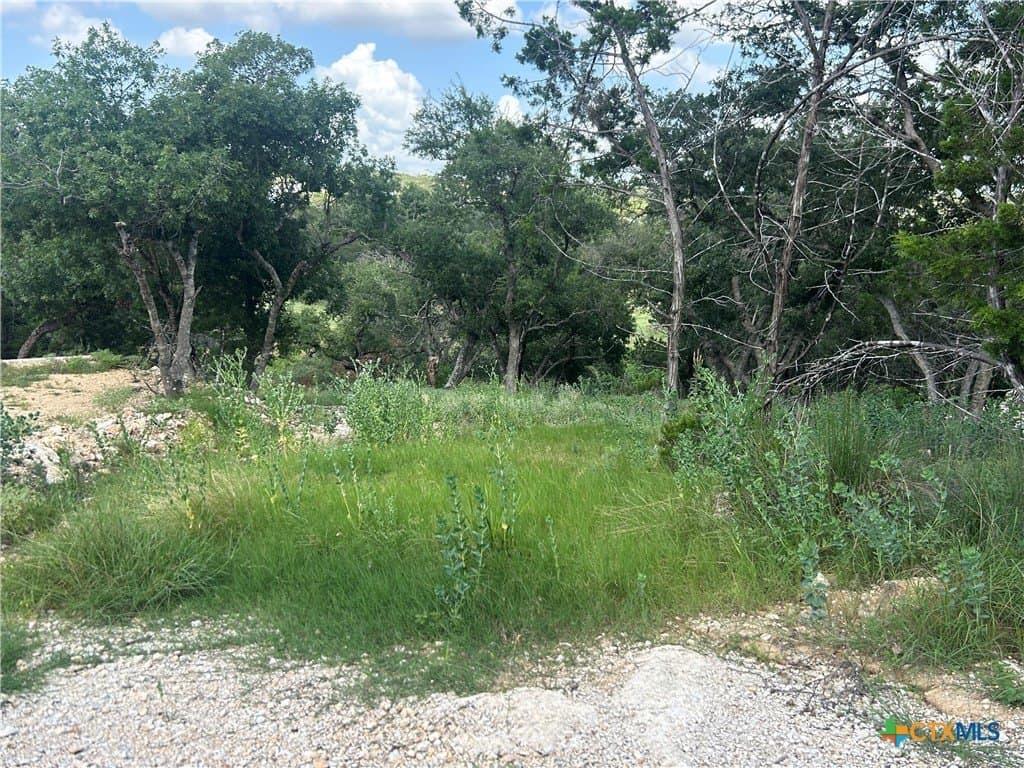 0.72 acres in Comal County gallery image 4