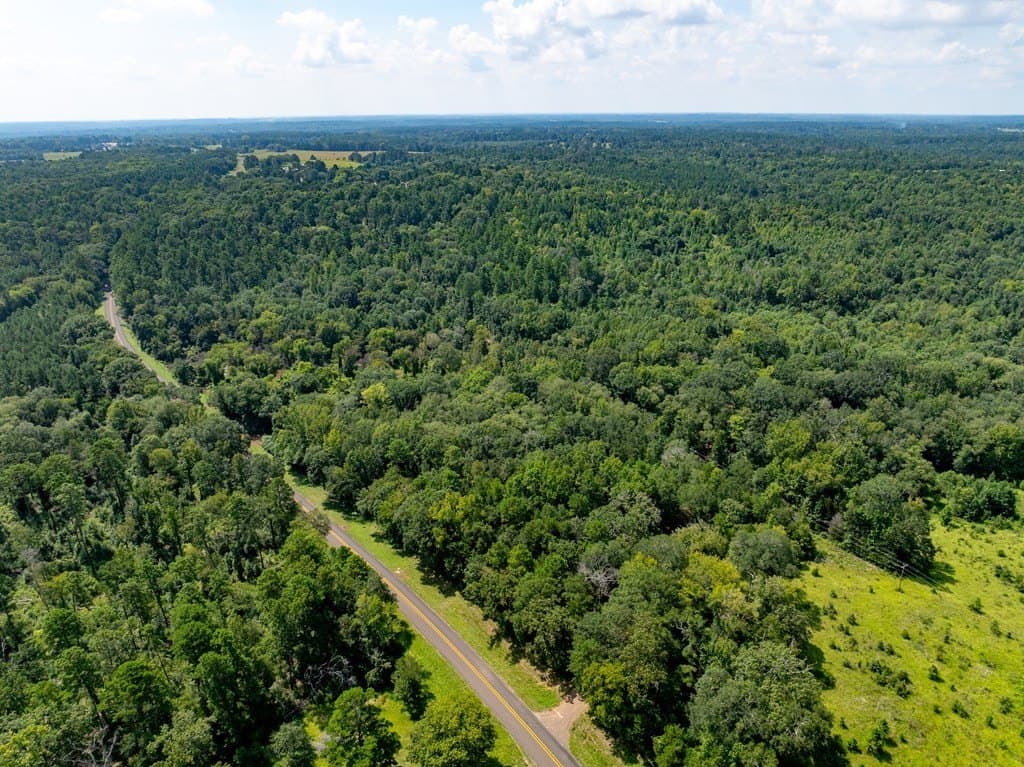 29.56 acres in ANDERSON County gallery image 2