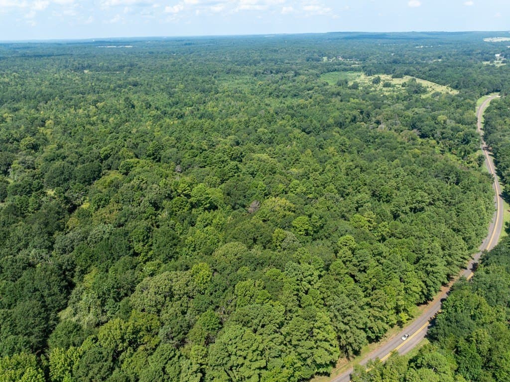 29.56 acres in ANDERSON County gallery image 3