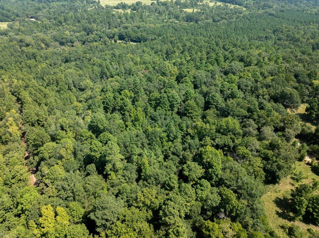 29.56 acres in ANDERSON County gallery image 4