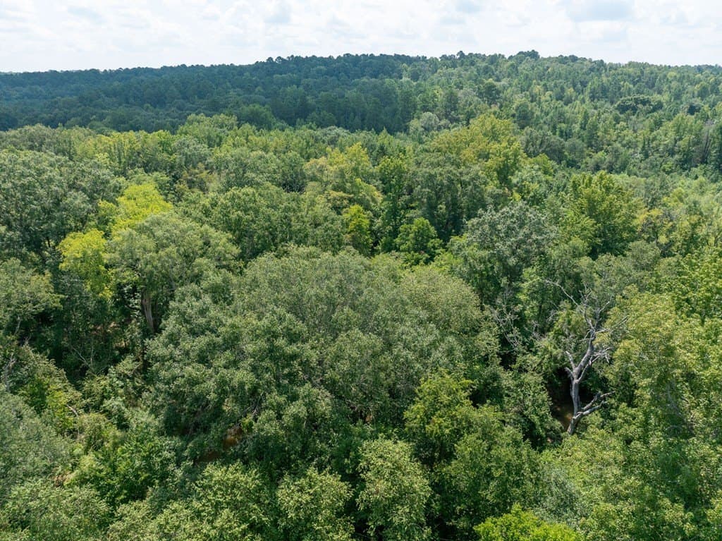 29.56 acres in ANDERSON County featured view
