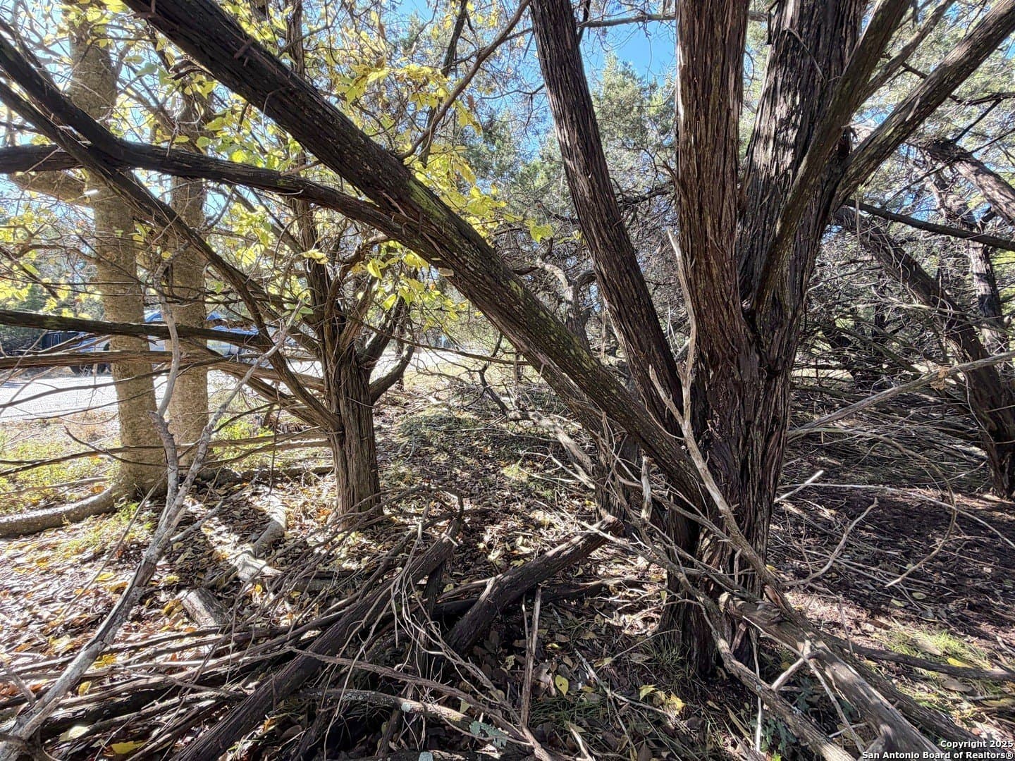 0.27 acres in Comal County - photo 8