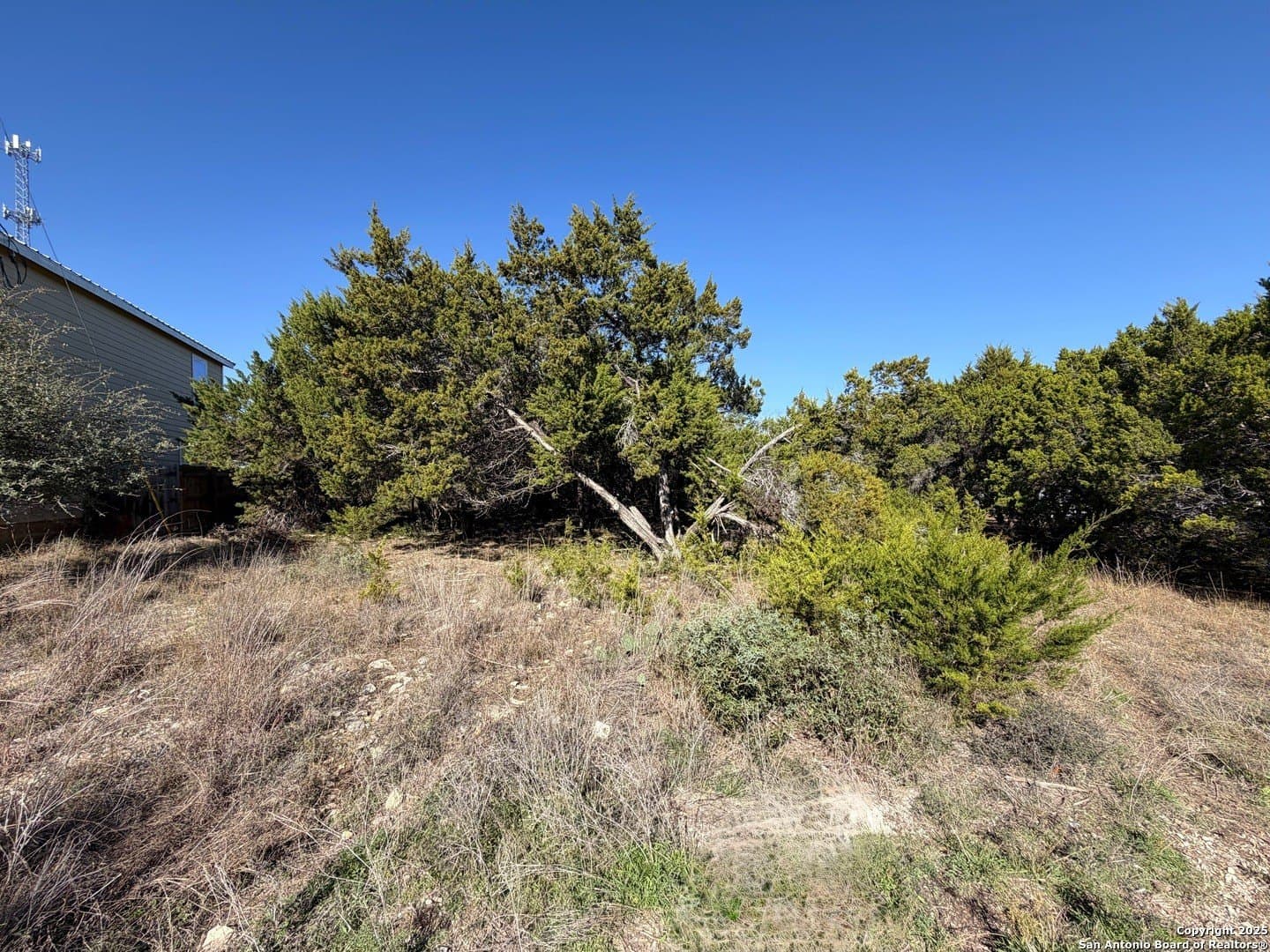 0.27 acres in Comal County gallery image 3