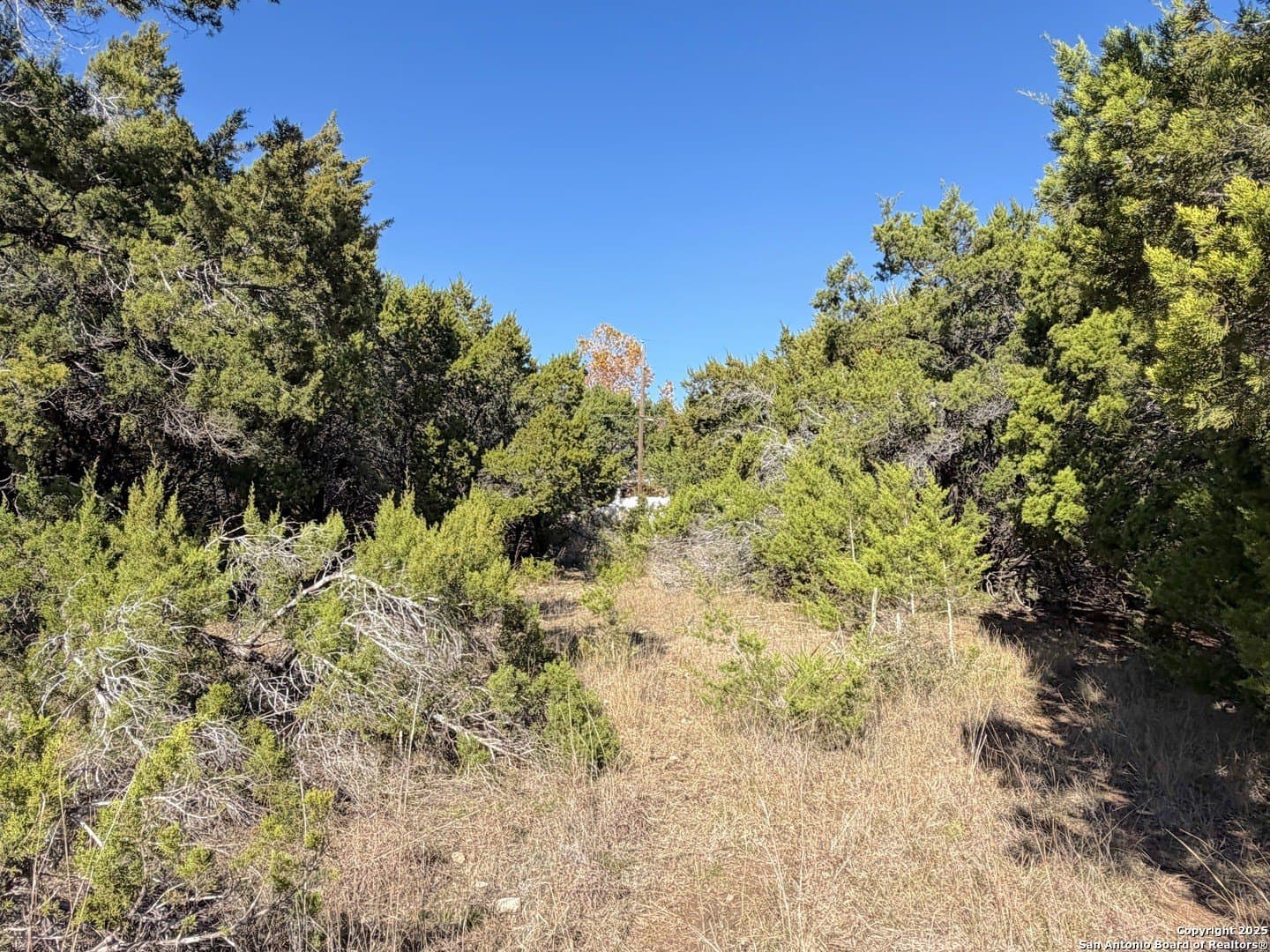 0.27 acres in Comal County