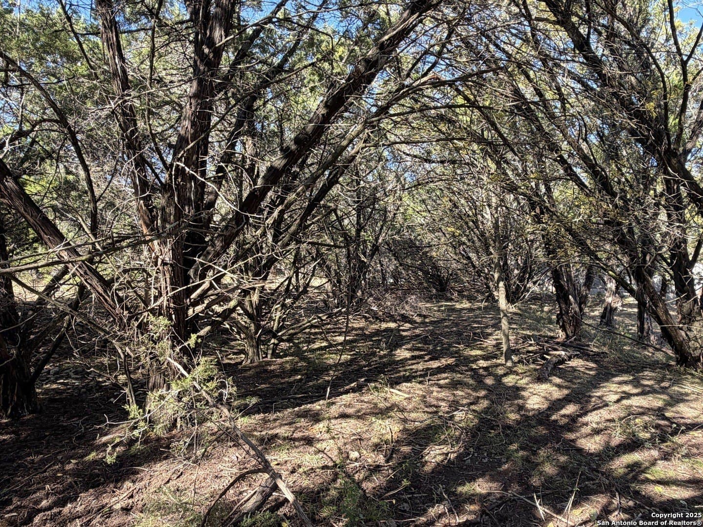 0.27 acres in Comal County - photo 6
