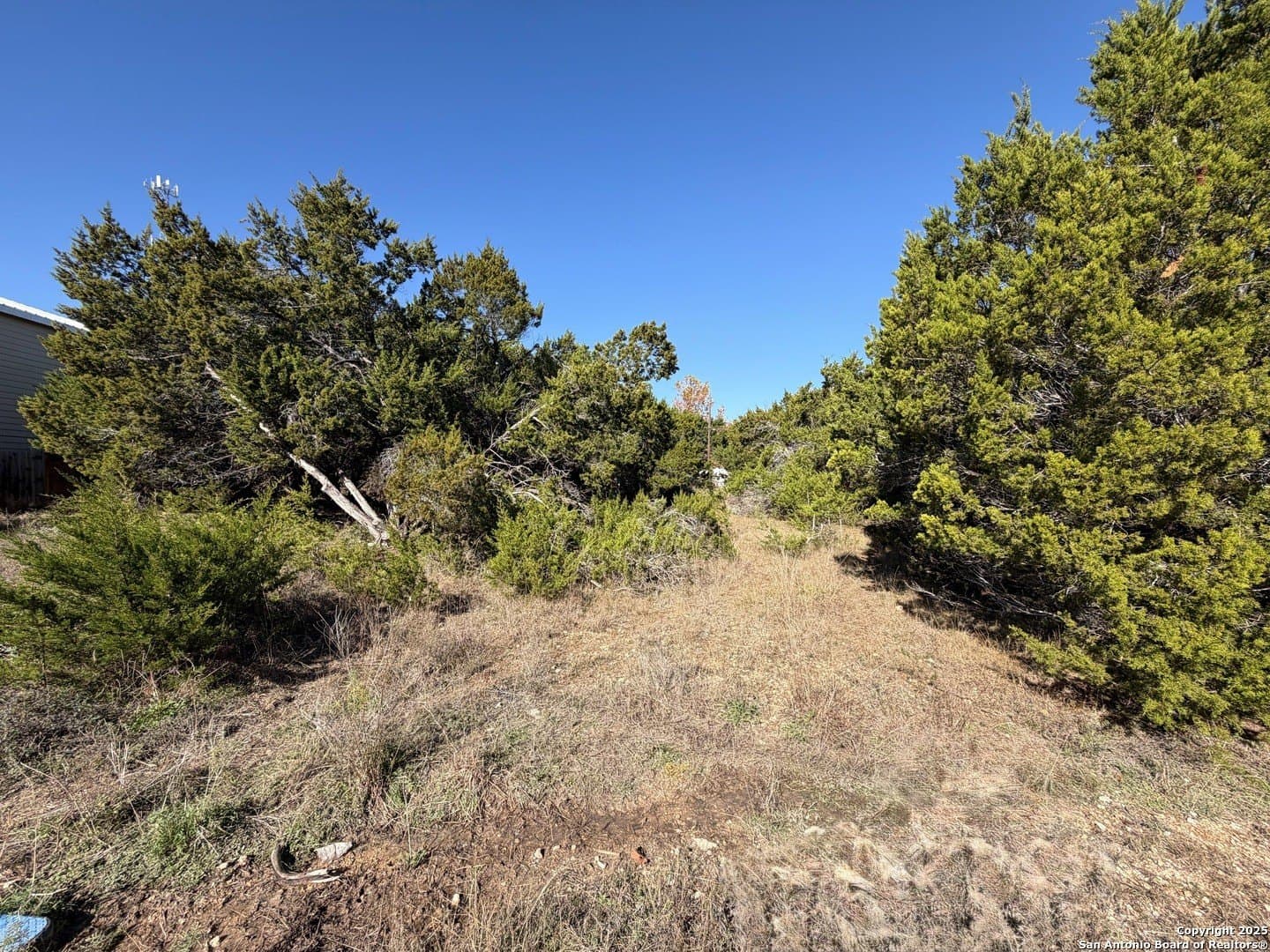 0.27 acres in Comal County gallery image 4