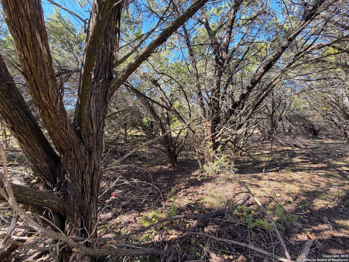 0.27 acres in Comal County - photo 7