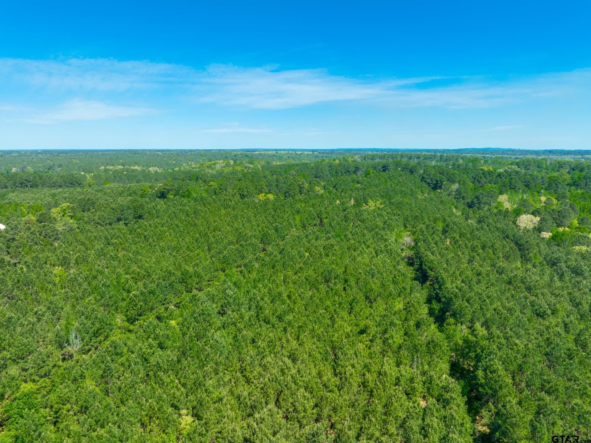 41.06 acres in Anderson County gallery image 4